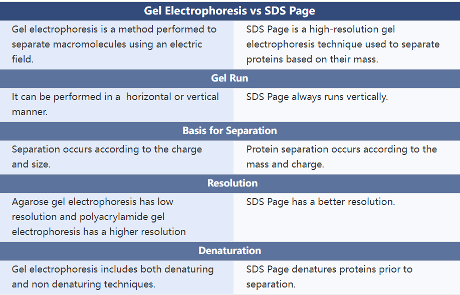 凝膠電泳和SDS-PAGE之間的區(qū)別